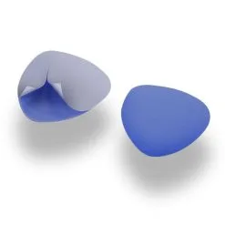 Other Coussinet Métartasien PPT