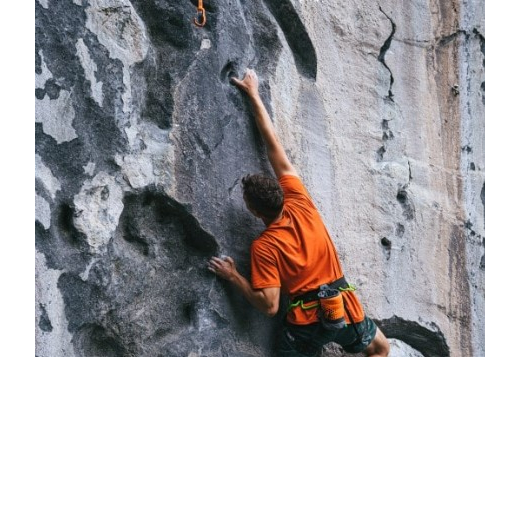 Beal PACK 5 DEGAINES PULP 11CM – Image 3