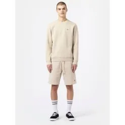 Short Dickies Champlin Cement En Remise